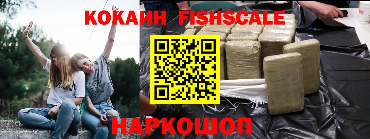 COCAIN Fish Scale  Вход с VPN  Новотроицк 
