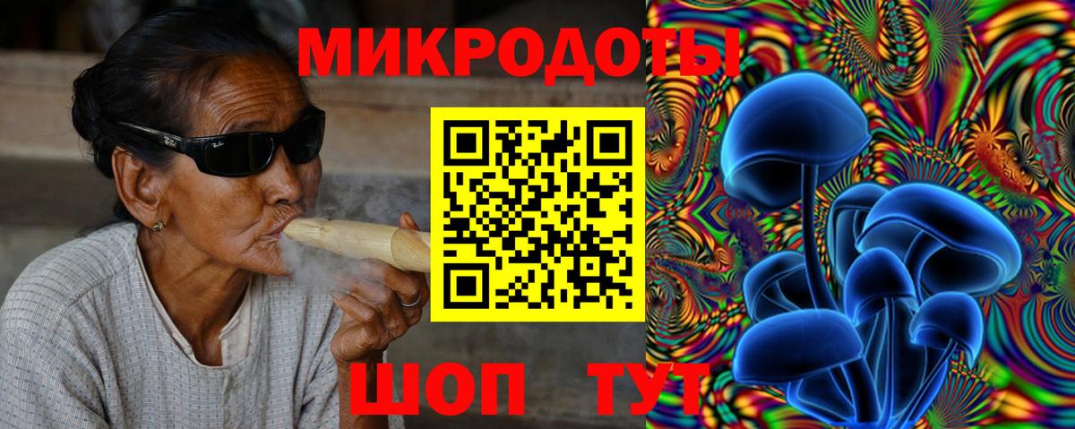 Галлюциногенные грибы Psilocybe Новотроицк
