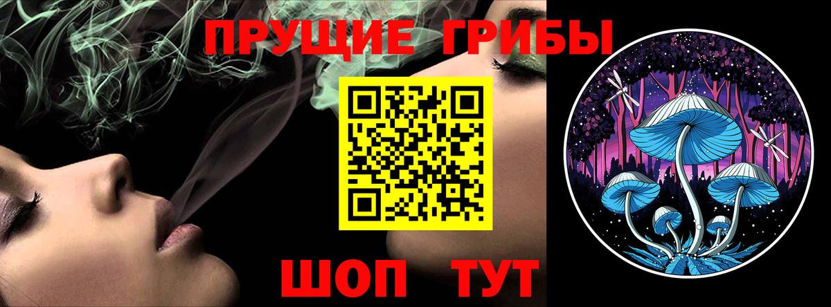 Галлюциногенные грибы Cubensis  Вход с VPN  Новотроицк 